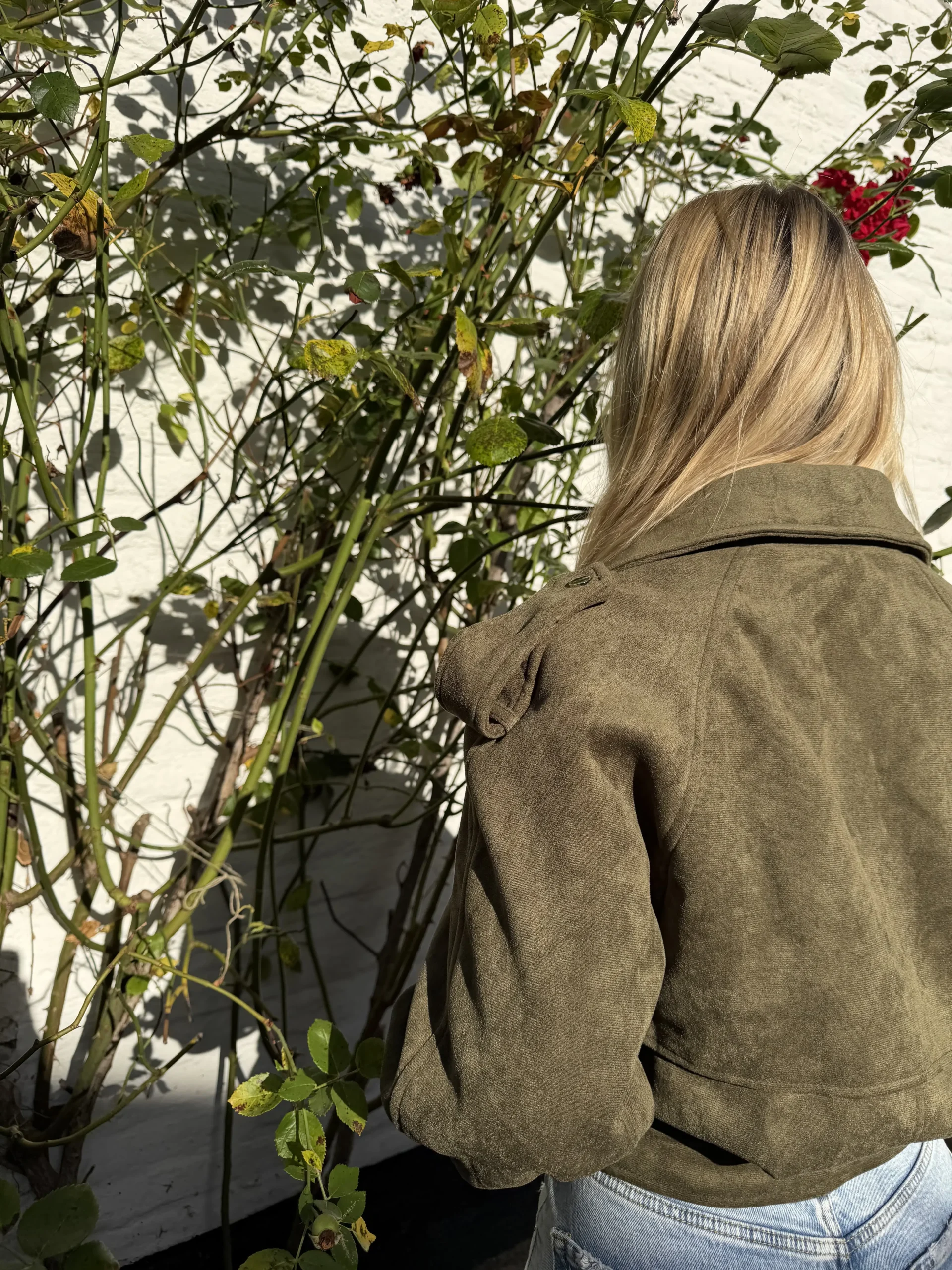 Jools Jacket - Groen - Afbeelding 5