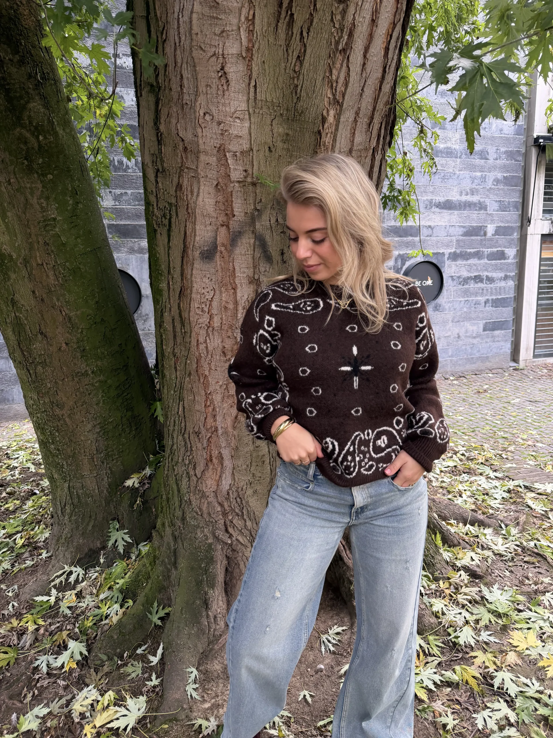 Ellemijn Sweater - Bruin